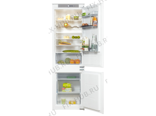 Холодильник Pelgrim PCS3178L (590680, HZI2728RMD) - Фото